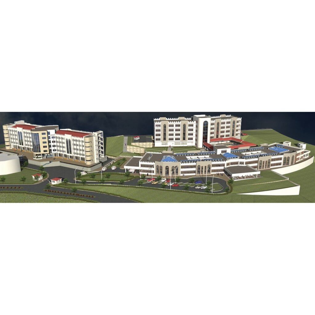 Gondor University and Hospital